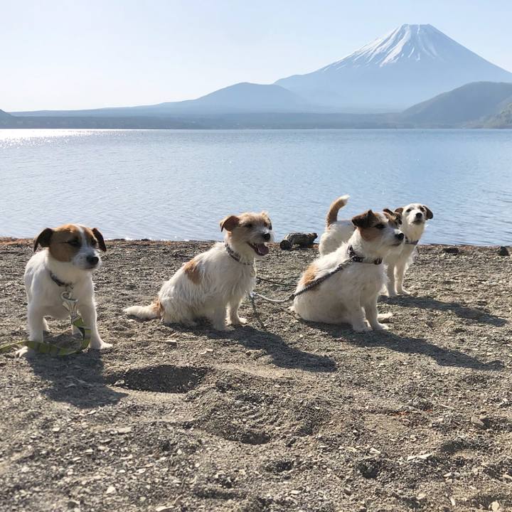 Dfb73313 3826 4b0e 80d4 bbb8d0733b5f 1524409889330