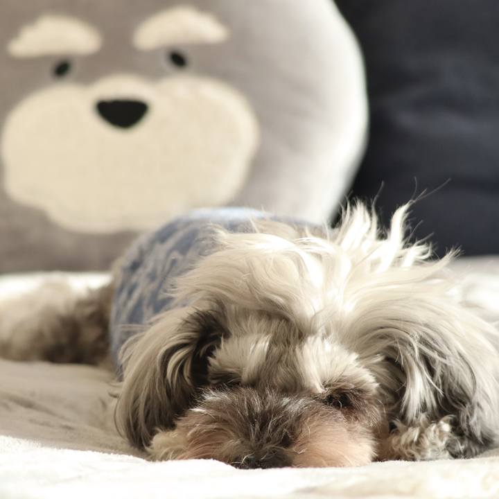 Dfb740cc 06ec 4209 b6d5 2f13d34fc820 1772957302203