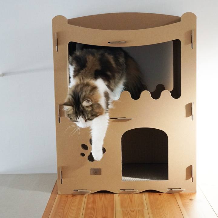 Dfb74109 adf2 49c7 84ac 60ceffc9a68d 1580632650689