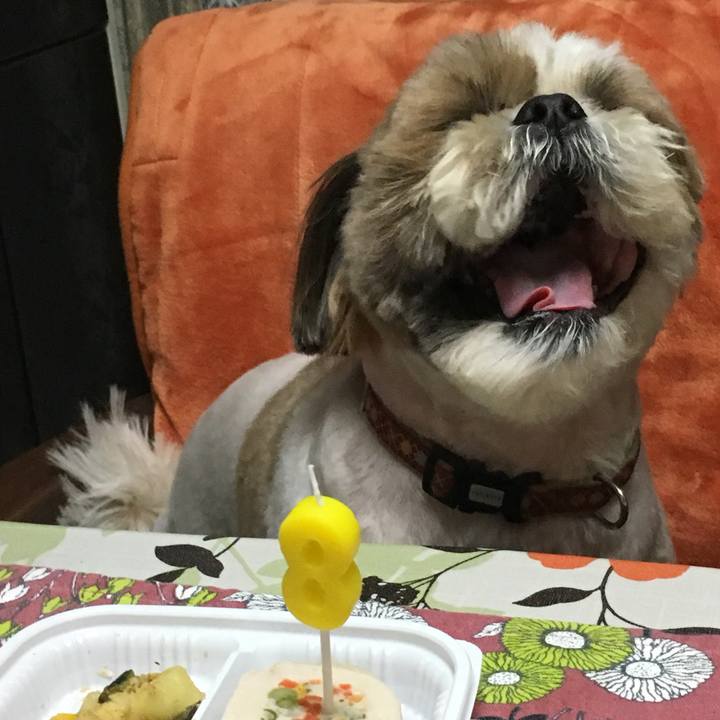 Dfb78732 5c34 479b 929c 458e5abb30ef 1559951318580