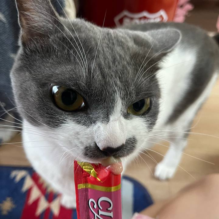 Dfb7ae2a 3e9d 40d0 9638 2ad1be446c51 1627373557119