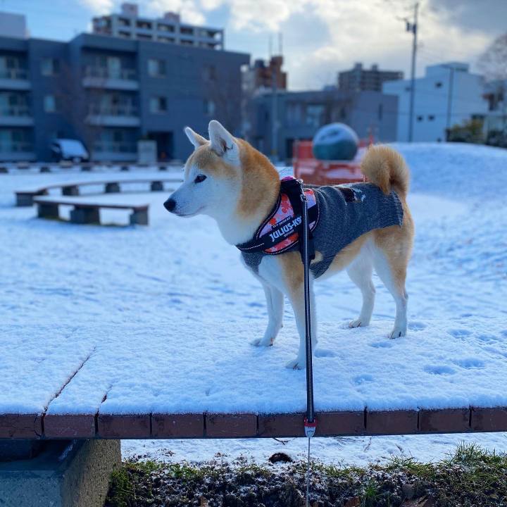 Dfb7bdae 1b50 43e5 9ab3 3cfcee8663d7 1701251572280