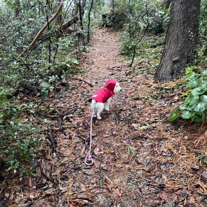 Dfb7d0ac fbeb 4de7 b711 287d173bd996 1734476570244