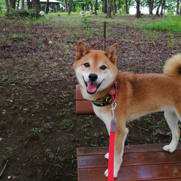 Dfb80350 747b 4919 a9ef 05841bf326b8 1625491315383