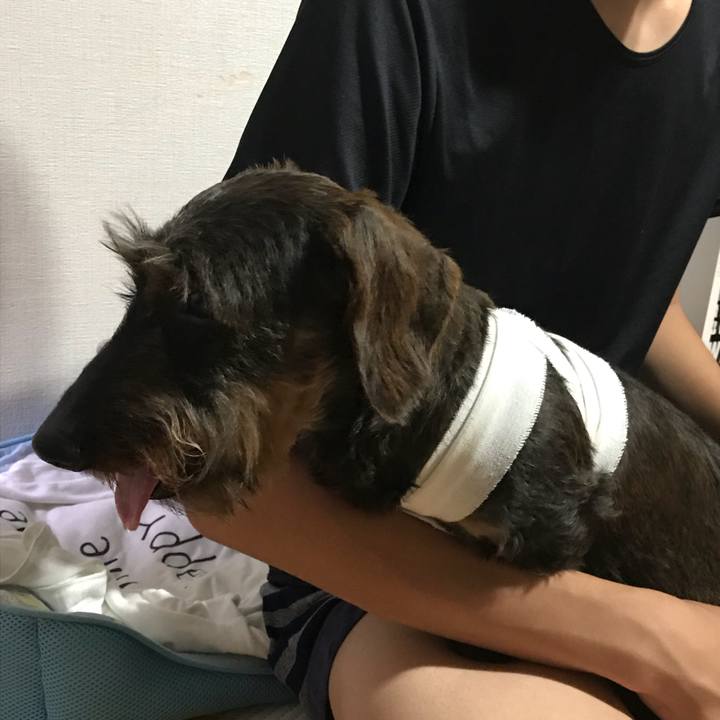 Dfb804b0 c47c 43f9 b081 3bdb636bb1d2 1528455521650