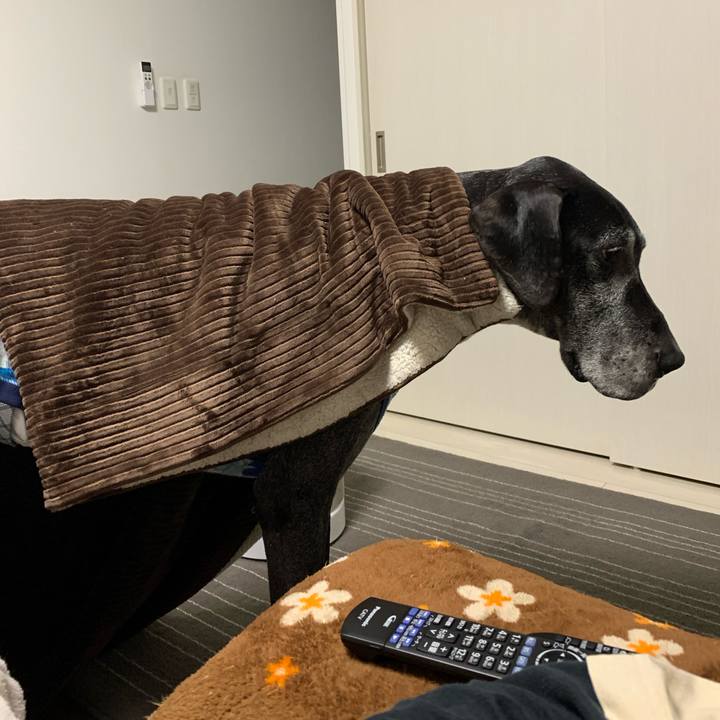 Dfb882fd 1ebf 444a 894c 8cba925f4b05 1610578499955