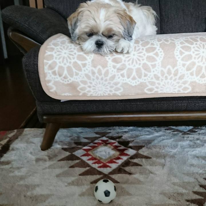 Dfb88b76 27d3 44f5 a65c d3452d708fa0 1537227203388