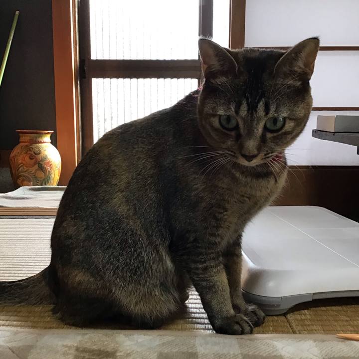 Dfb8e7d5 8ae6 4c78 a16c bac8b8d58421 1604047377593