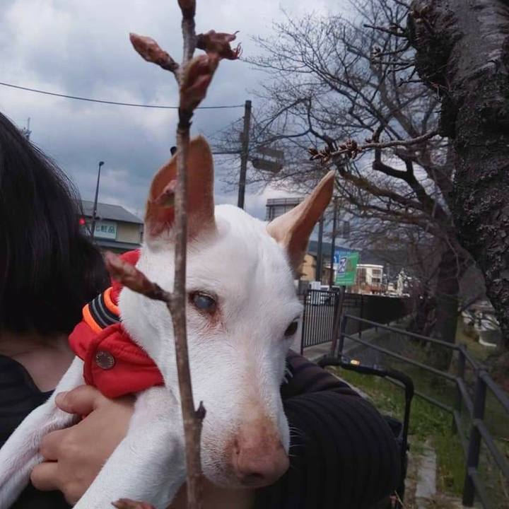 Dfb8f1d8 548d 4e29 9456 fda37fcd699c 1584249428853