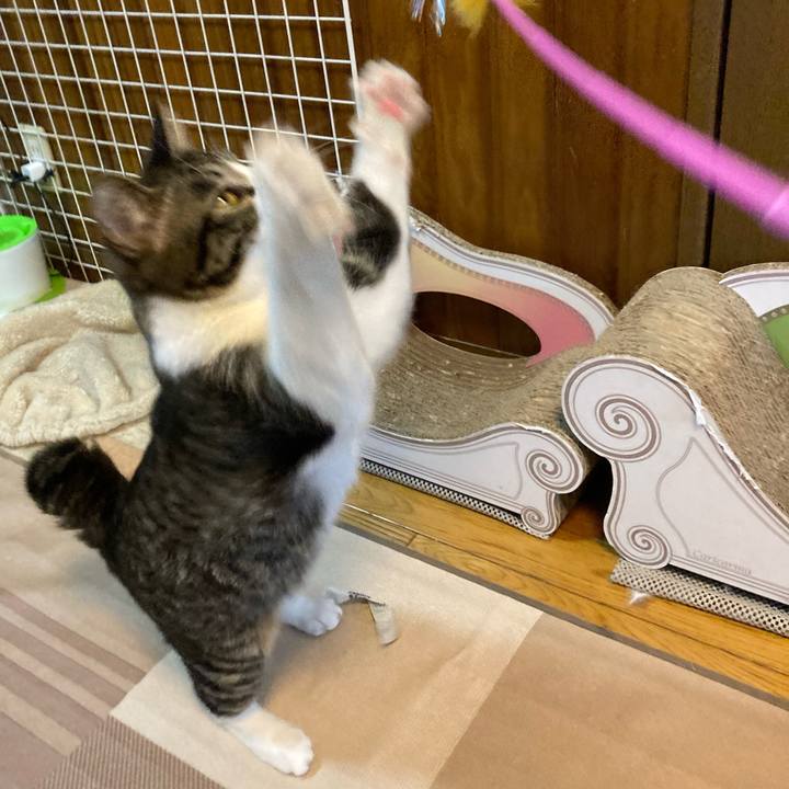 Dfb90ac6 50a5 4d24 ae89 fd705b51a232 1712452427834