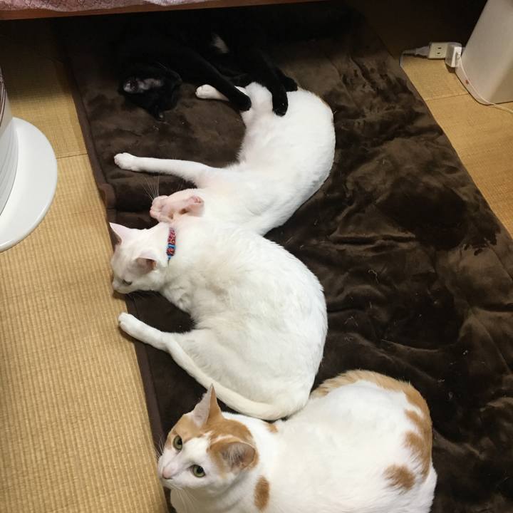 Dfb9259b dfb9 4af4 bf62 effbc81b0c9f 1516781066136