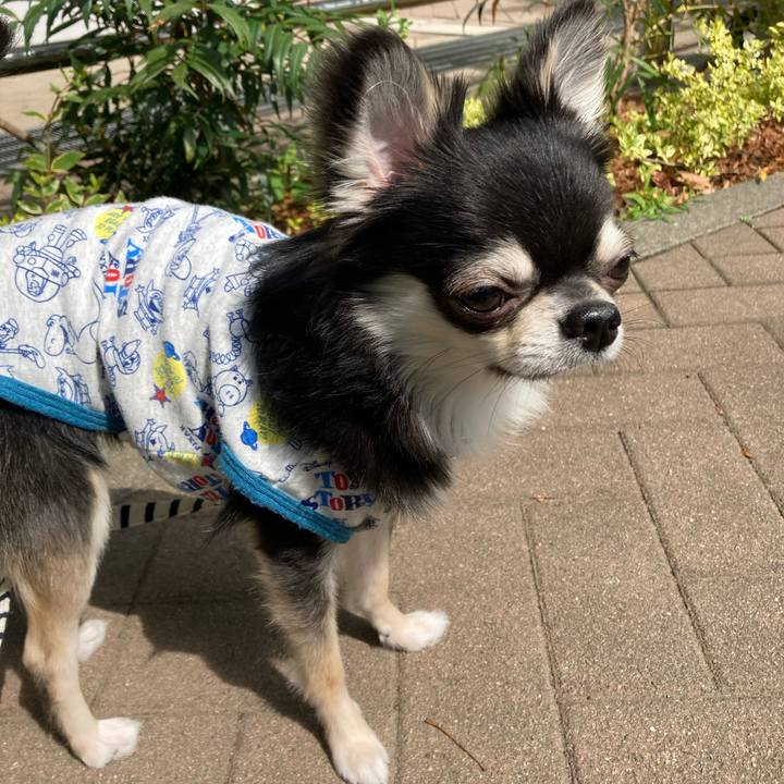 Dfb9592e c960 4bfa b625 dfb748d24e3b 1619323277505