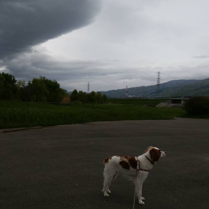 Dfb96121 23c3 4872 b180 e235e76f0fb9 1523966338458