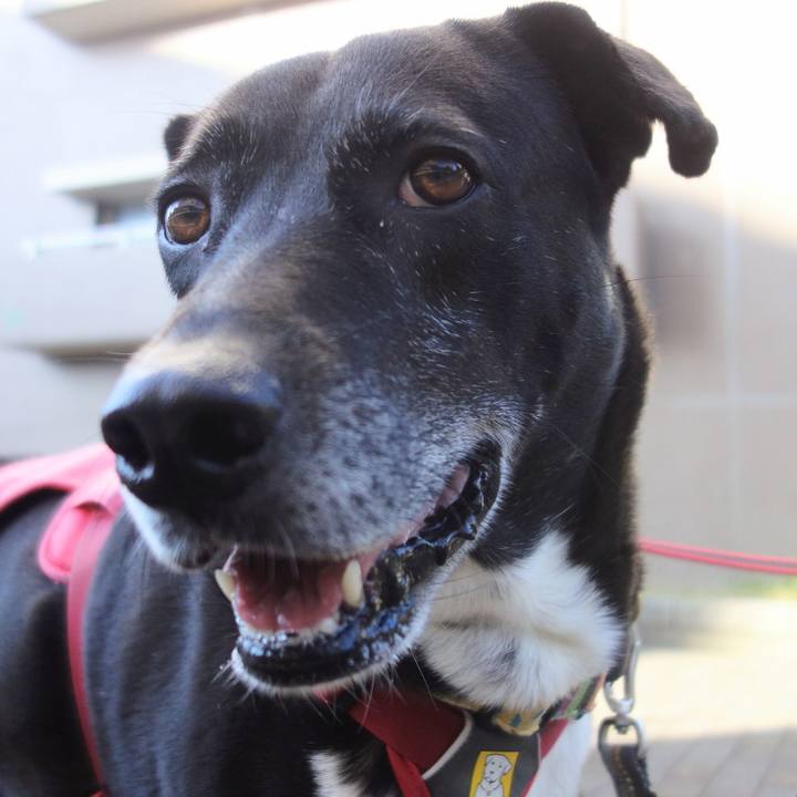 Dfb9623b dce6 442e a890 00fab063edcf 1698799520136