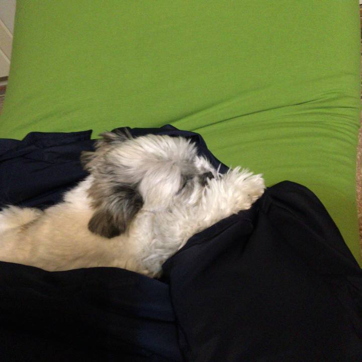 Dfb97493 3aa8 4f81 bfad 8395f56129f9 1545996770324