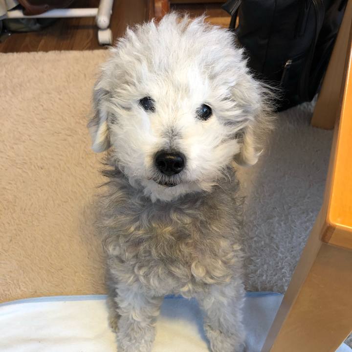 Dfb9b811 e8d0 4704 a281 c1b6200f0bd3 1620605516079