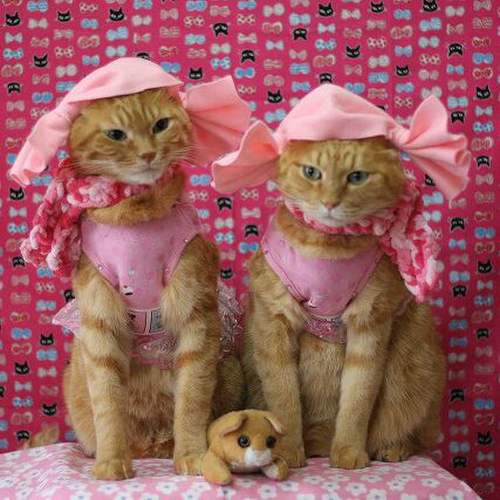 Dfba3119 4380 443f b884 065d05548273 1532765389854