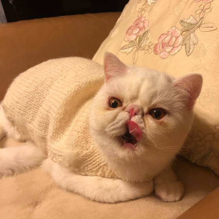 Dfba4ef2 4928 4d1b b65e 8e5bee18cc18 1576999320442