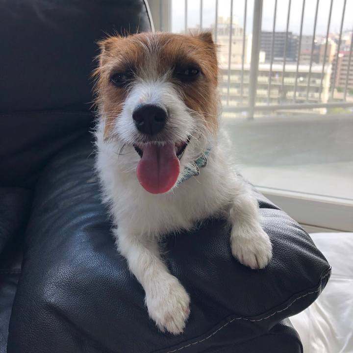 Dfba5b13 50ba 4bd0 b9c0 172da500b256 1537758359790