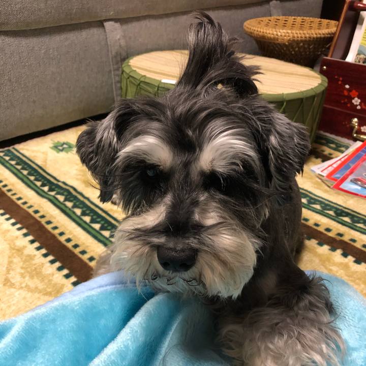 Dfba7a16 e5ac 4299 ac24 faba34363c8b 1638609805216