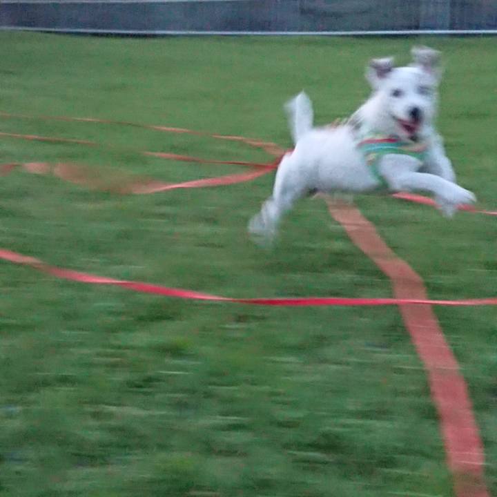 Dfba7d16 05db 41e6 ab7e 4a9f502fd776 1570058684292