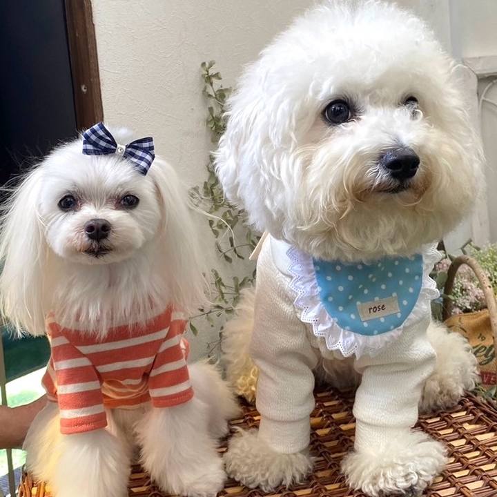 Dfba90af 7269 4cdb aa6c 135b47edcce4 1714004009752