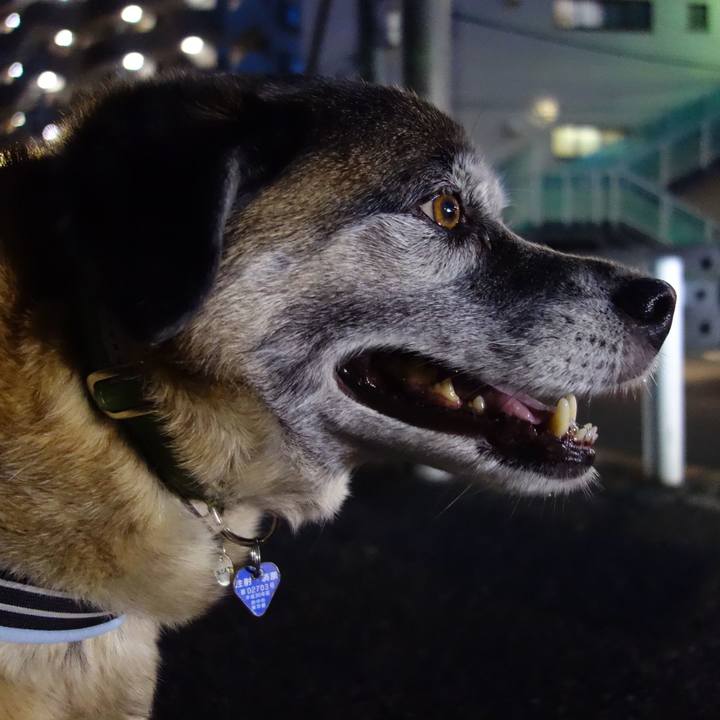 Dfba9e5c 9b15 421c 8b94 d4dd8d485a7f 1557064383992