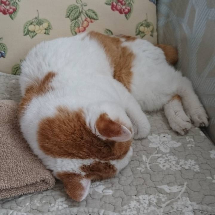 Dfbaa54d 47f1 4237 a1e1 df779d812d6e 1566179906295