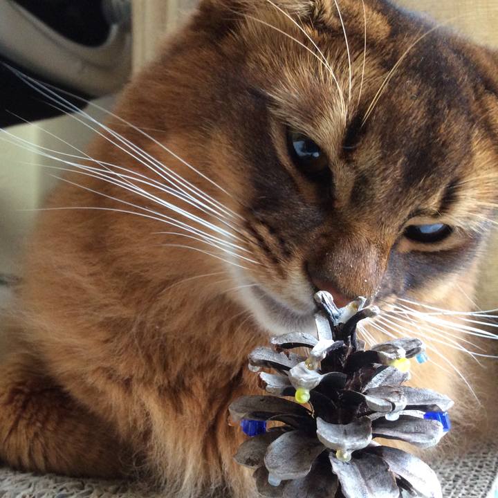 Dfbab1e7 7660 4dee ba64 d602acf24f71 1608771580041