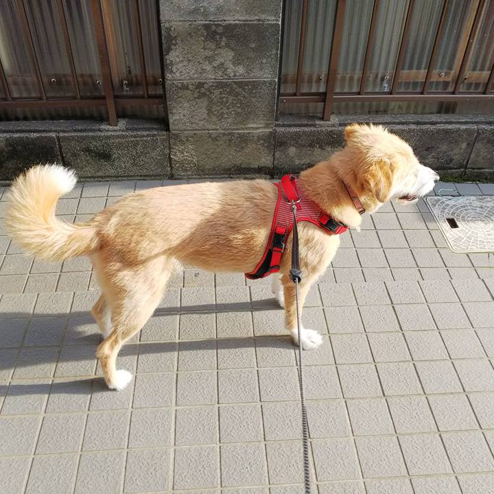 Dfbabd37 a269 4c65 bf99 97a3314d35f4 1528363369011