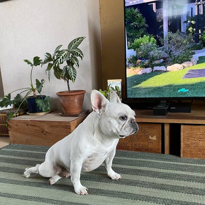 Dfbac144 2877 4af0 b0e4 a23fac80c8e0 1723513871446