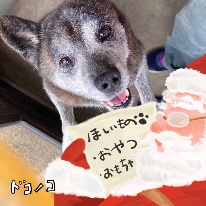 Dfbac3fa 2ac5 4425 b008 7893e0925026 1730708964480