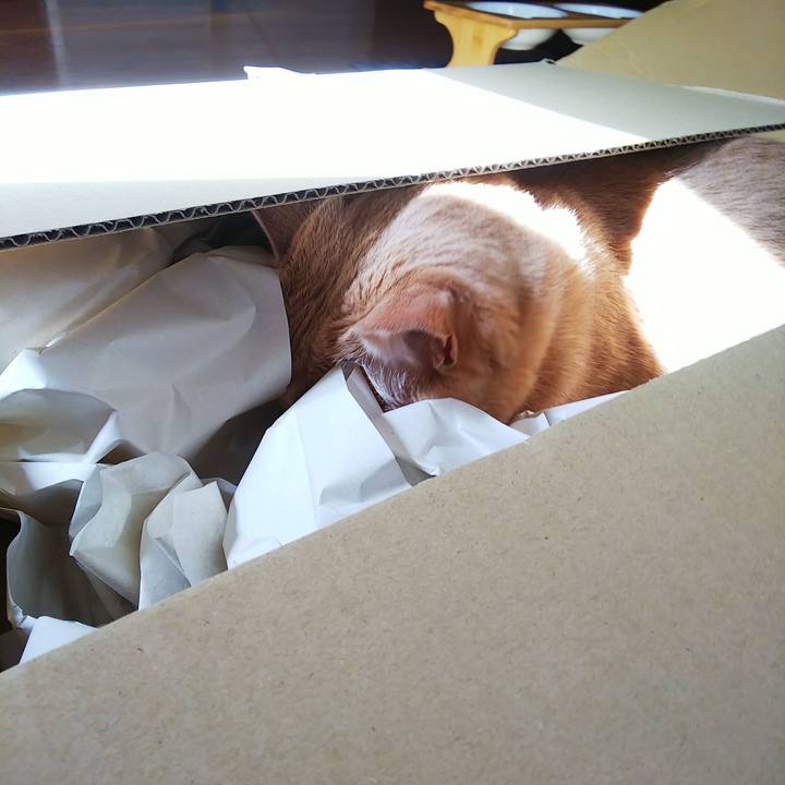 Dfbae82a 3f01 4806 8335 fa88c93423b3 1620284661150