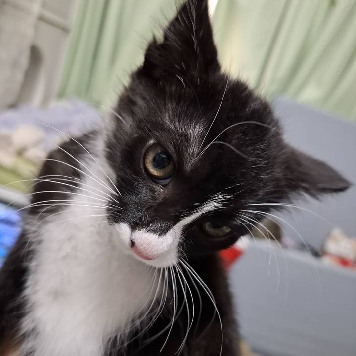 Dfbb3f5c e82c 40c8 aa4f b88b7214f399 1749448734310