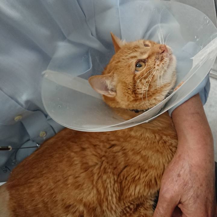 Dfbb739b 744c 49cf a93f 7dd56f8e57b3 1653726252412