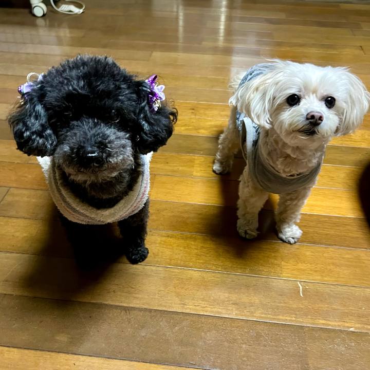 Dfbb8d44 6bf1 45bc 9ed6 0dc13b498a29 1767858598505