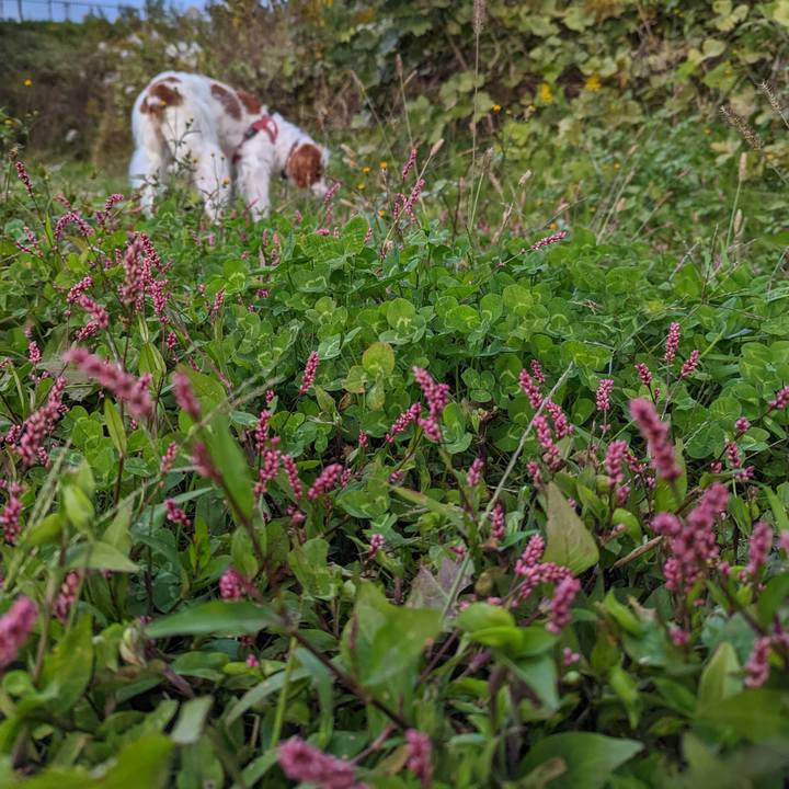 Dfbb8f14 b66f 45f1 b4c9 fc63a4be2130 1667906867753