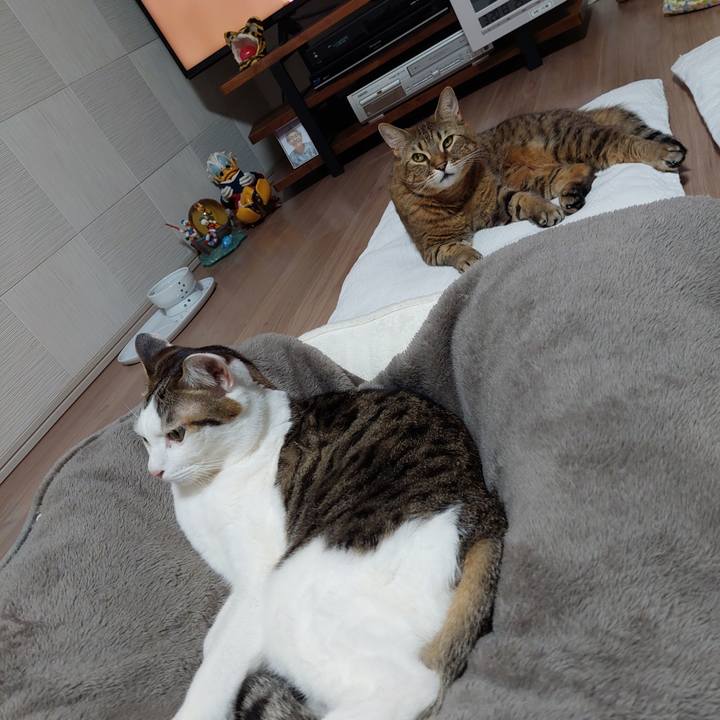 Dfbba631 9c01 4899 b421 52e15aed6dd1 1647779412909