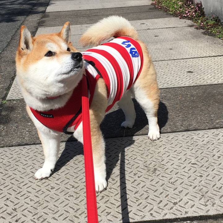 Dfbba9d1 1d0e 4c94 9de4 b6b7d5aa53b0 1584239242132