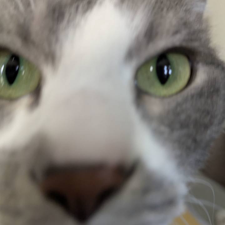 Dfbbe890 e003 4709 a7a8 1e19e44cb1c2 1770342553654