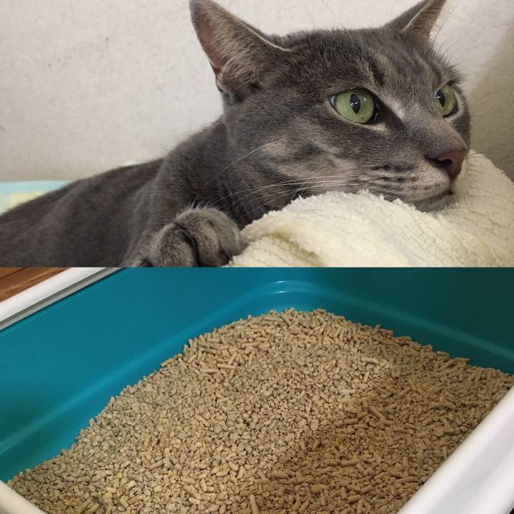 Dfbc4098 53fe 4119 8569 4186005e7609 1594526893878