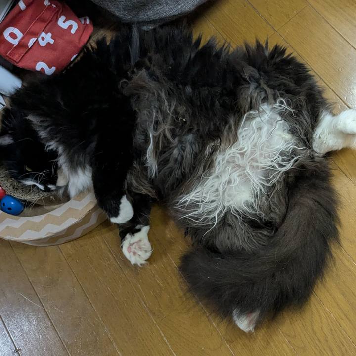 Dfbc462f 680f 4707 a14f b74818804171 1752009418212