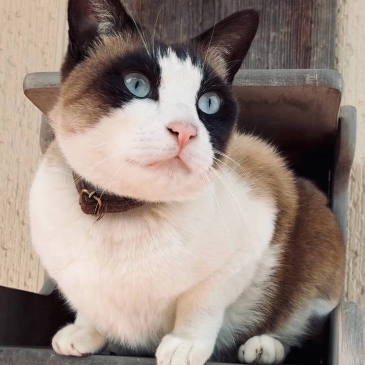 Dfbc4b9b 3785 4731 a111 315db1ad7ffb 1774789715332