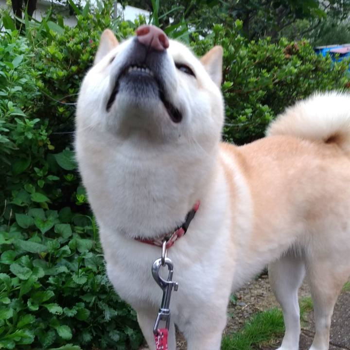 Dfbc5c99 df19 481e b691 90caacf4e4bd 1563437729541