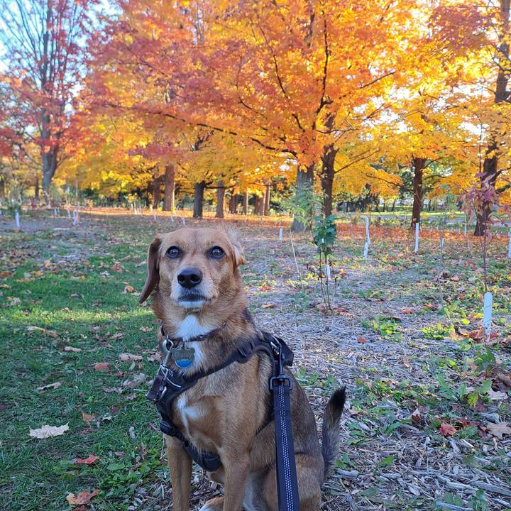 Dfbc6e9e c79c 49fa bfca 9e5a1b77b2c6 1761570535171