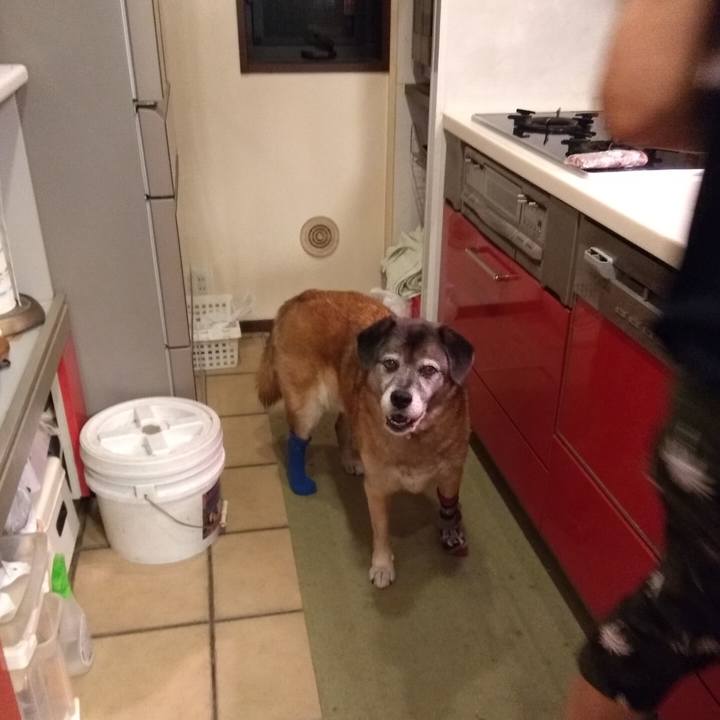 Dfbc7cbe f90b 4c7d 844e fe88be781a9c 1563279751305