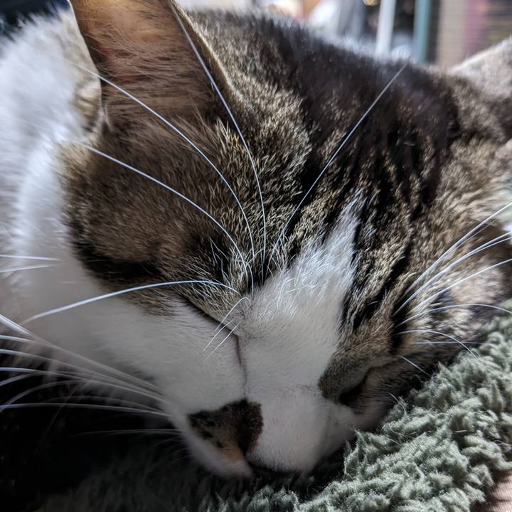 Dfbce2dc aef9 4b84 be9b 6ab1acc9ae96 1707728842162