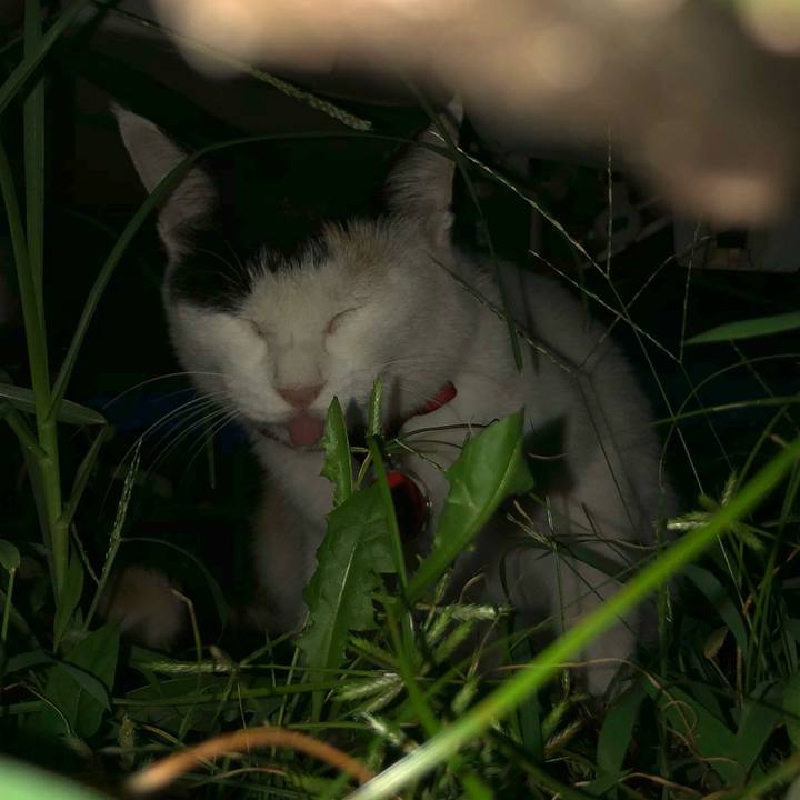 Dfbce47b 13c0 4cac 8078 ca9380554b72 1631533472626