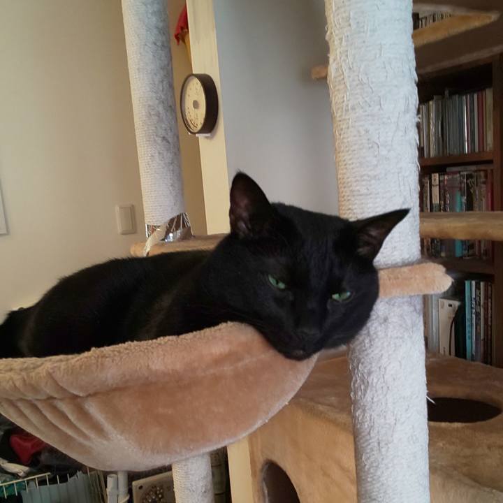 Dfbd26c9 fa2c 4f26 a30e d83fac25cc00 1707433749862