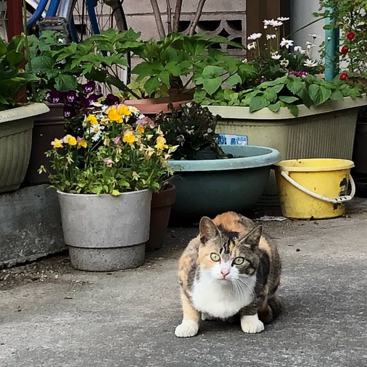 Dfbd5c0c c7ba 4822 96d9 9f27306b8d4f 1525548738286